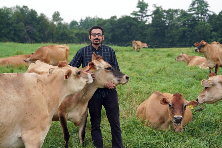A photo of UNH graduate student Adeel Arshad standing in a field surrounded by cows.